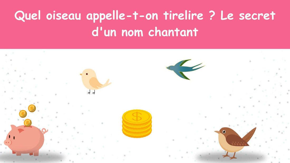 Quel oiseau appelle-t-on tirelire ? Le secret d'un nom chantant