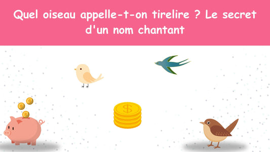 Quel oiseau appelle-t-on tirelire ? Le secret d'un nom chantant